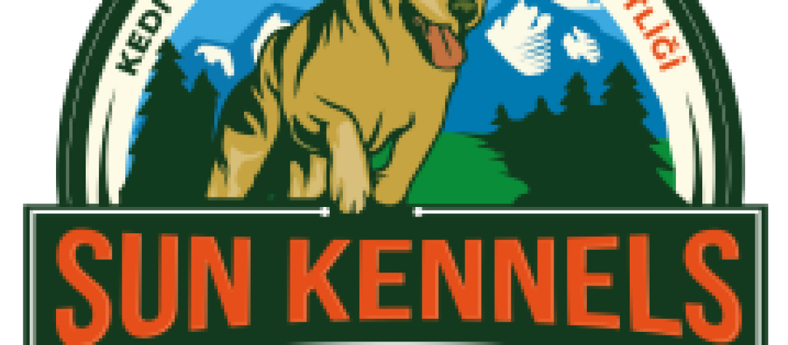 cropped-logo-55.png